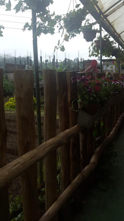 Mangala Flora Nuwara Eliya