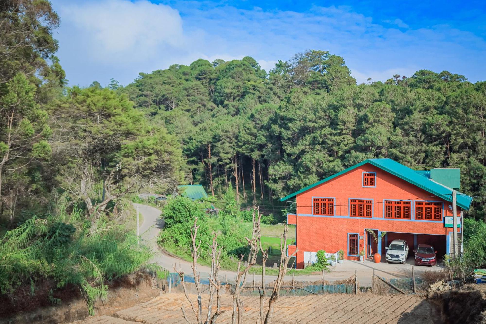 The Backwoods Standard * Nuwara Eliya