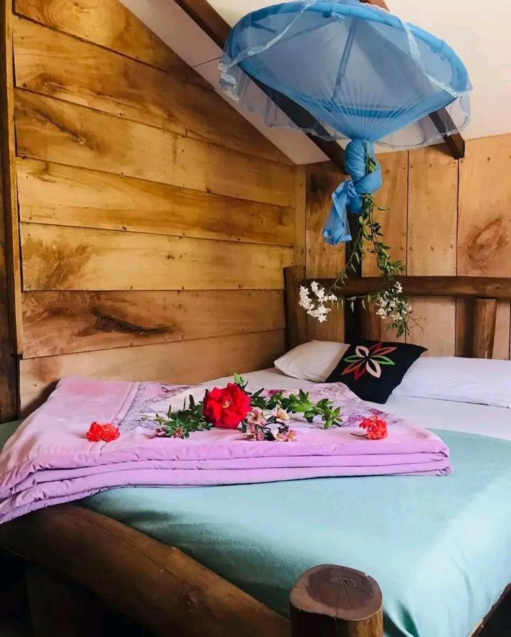 Homestay The Paulwood