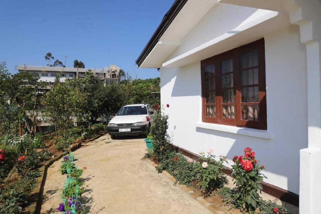Dawn's Villa