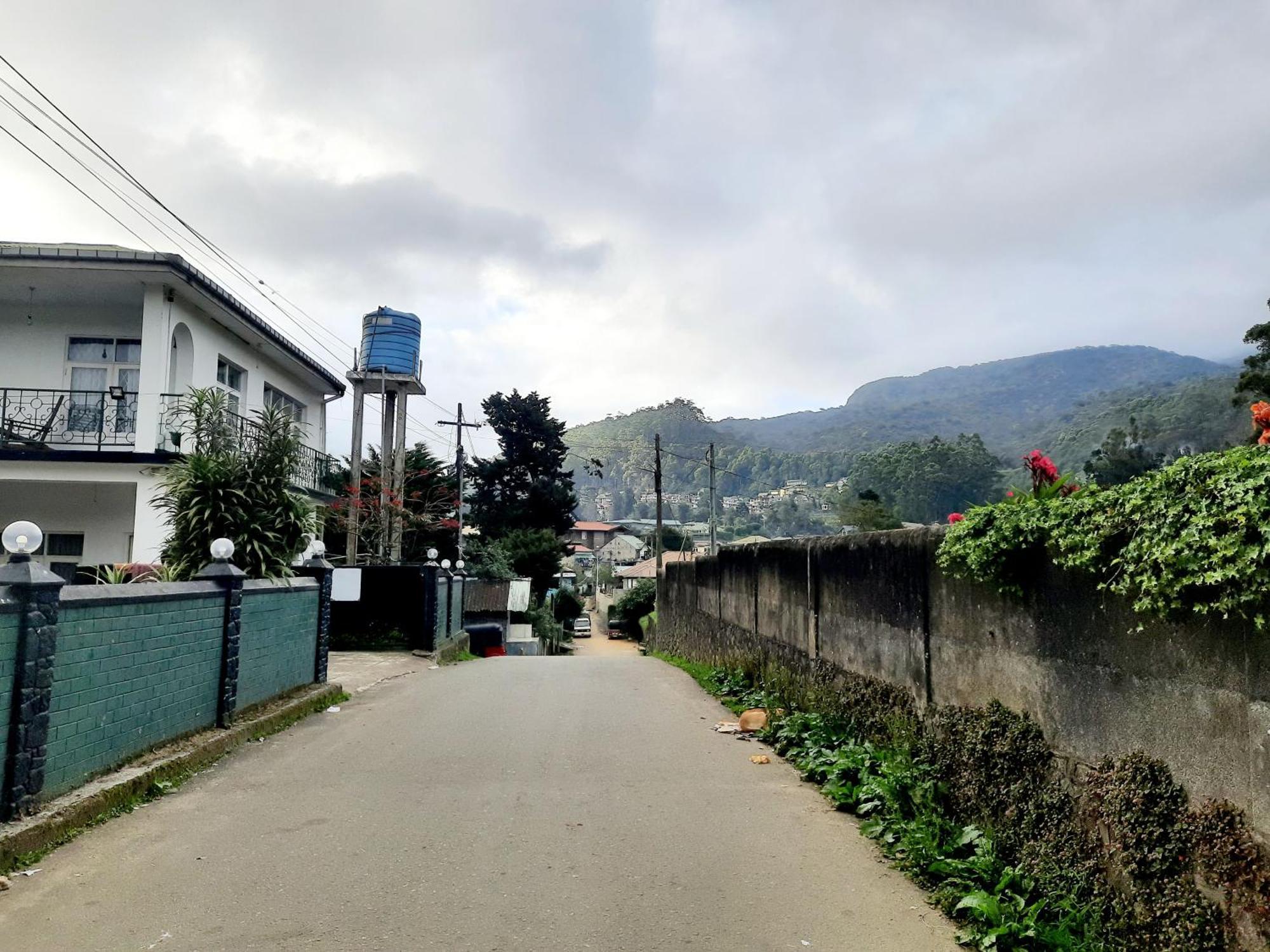 Sapu's Mountain Breeze