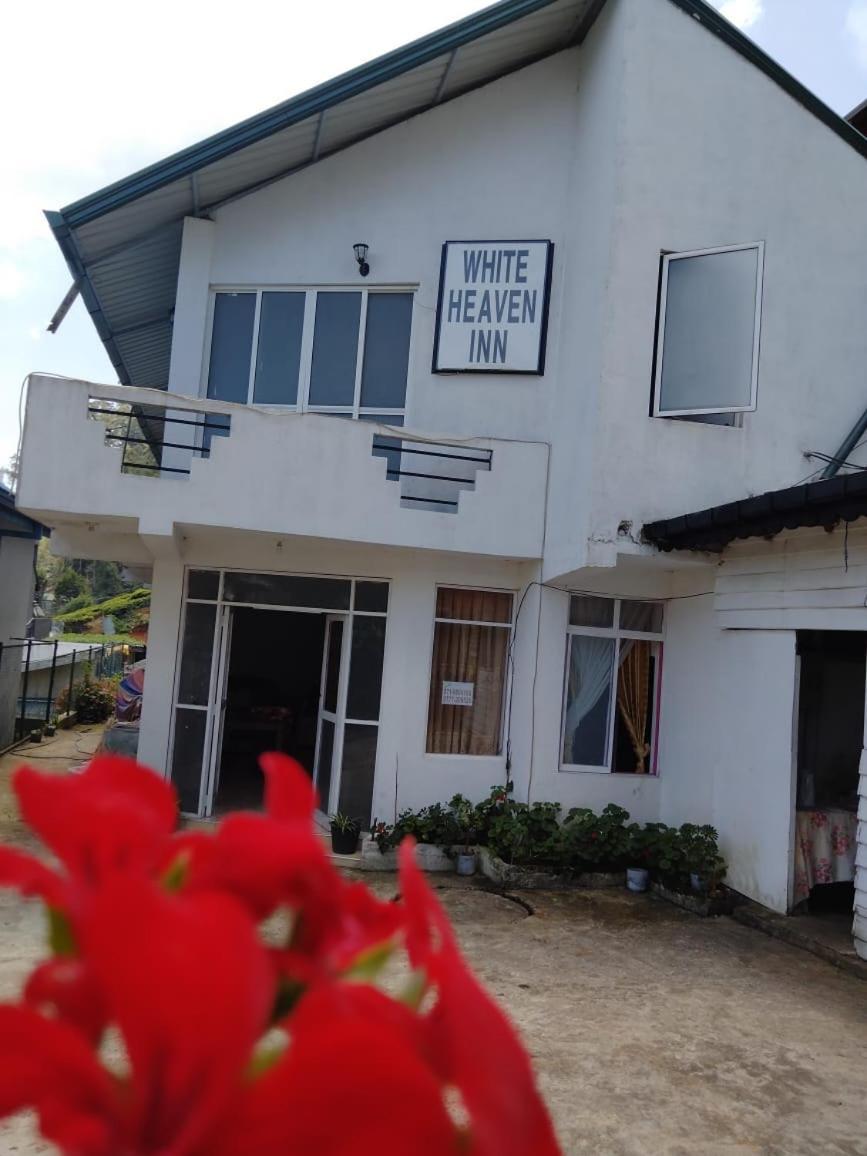 Hotel New White Heven *