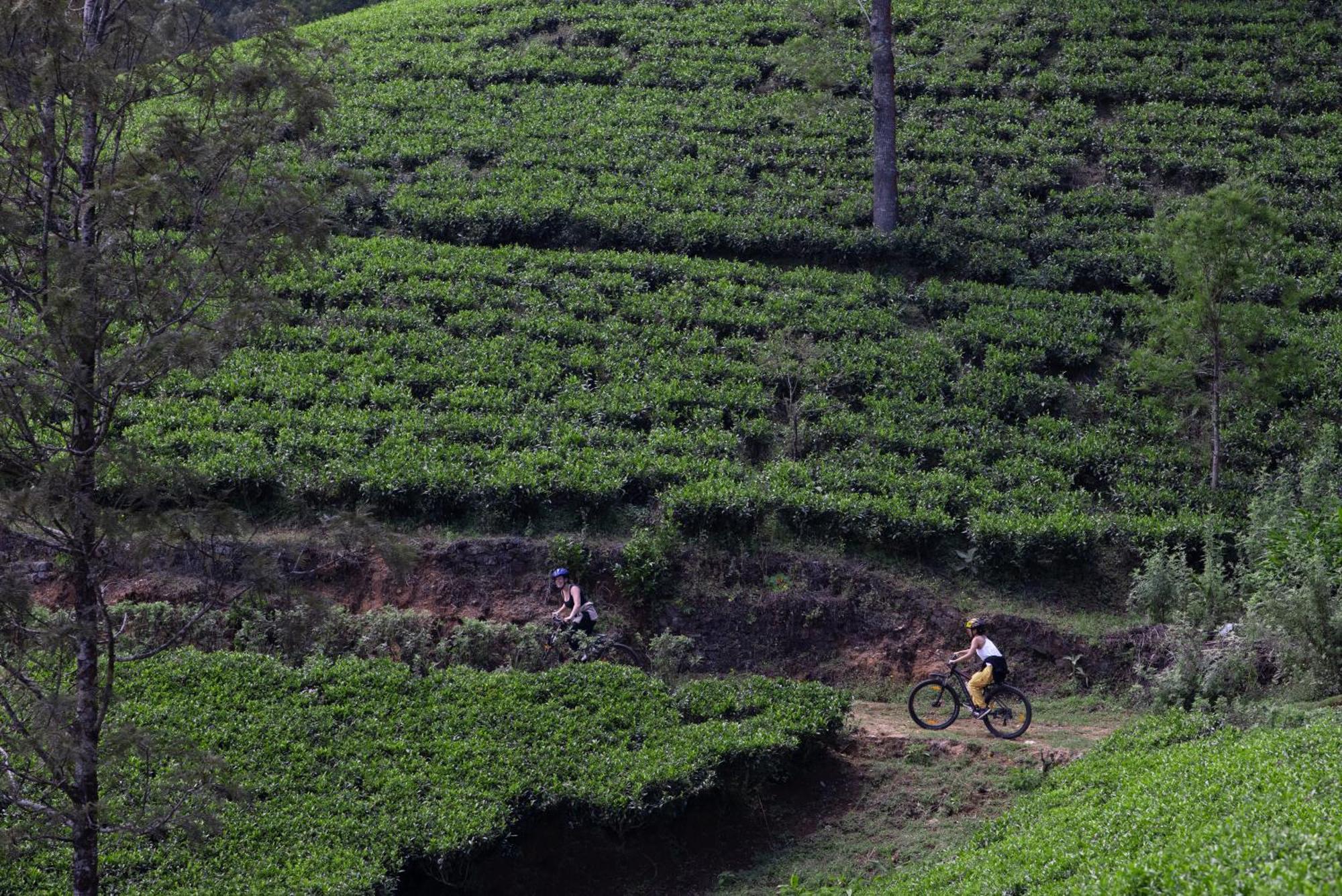 Hotel Heritance Tea Factory (adults Only) 5*