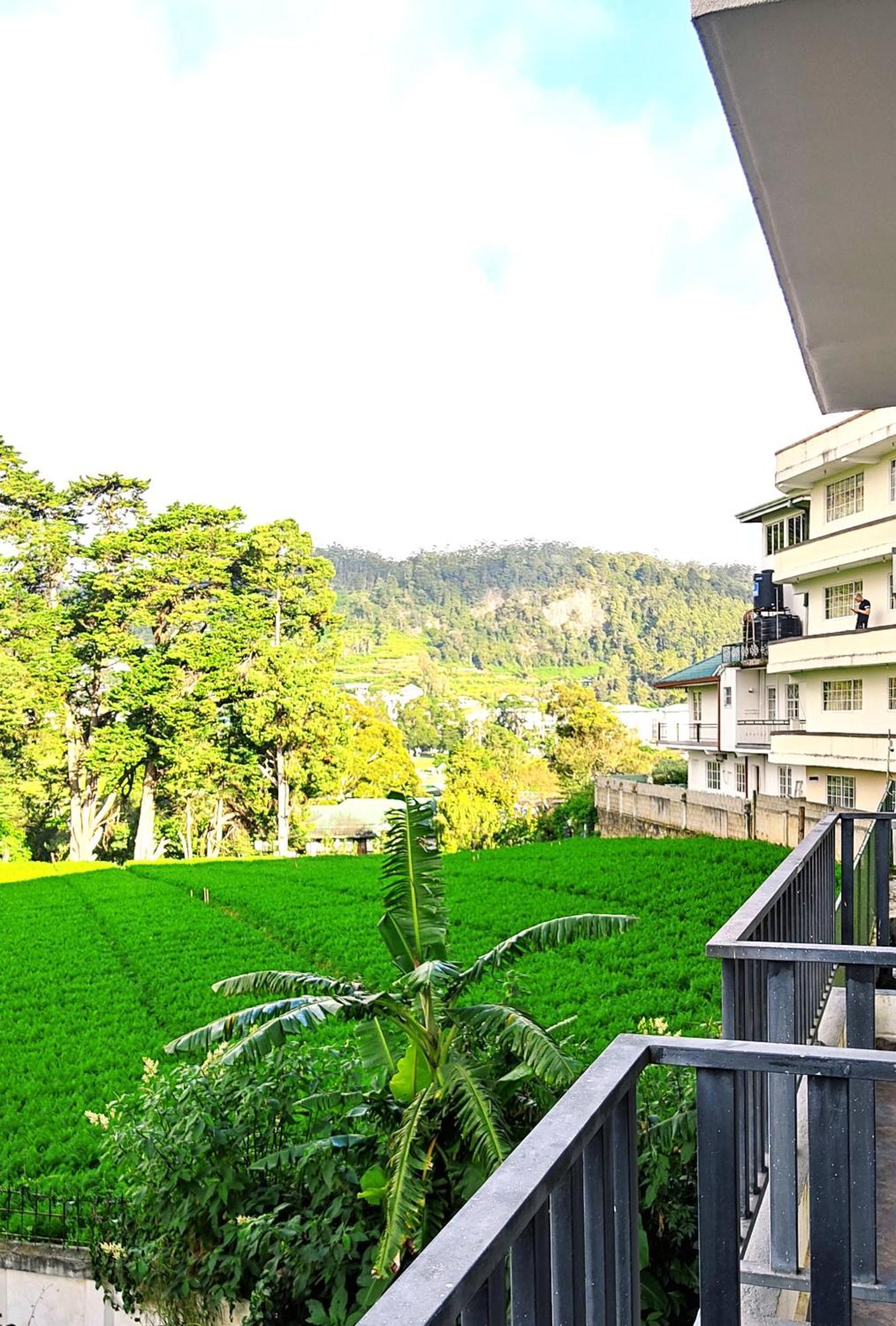 Nelma's Cosy * Nuwara Eliya