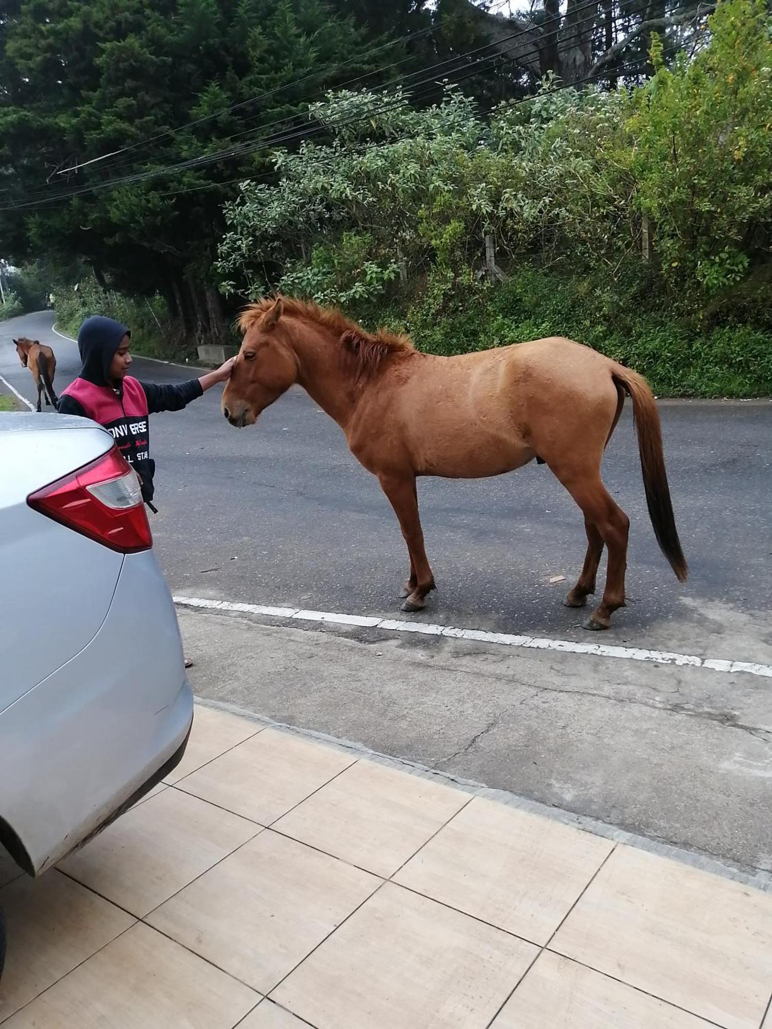 Roseberry Hotel Nuwara Eliya