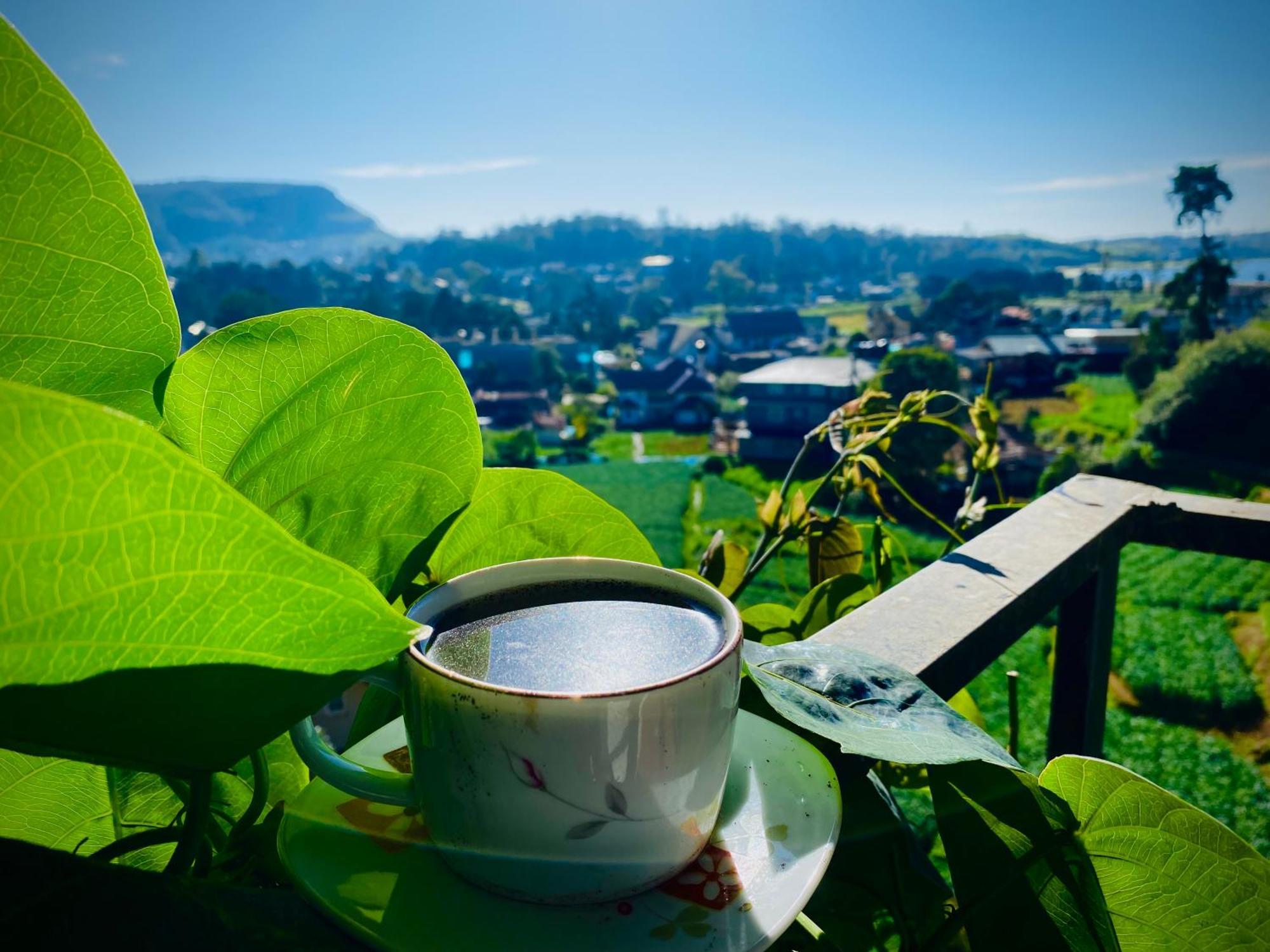 Guest house Emerald Bay Nuwaraeliya Nuwara Eliya