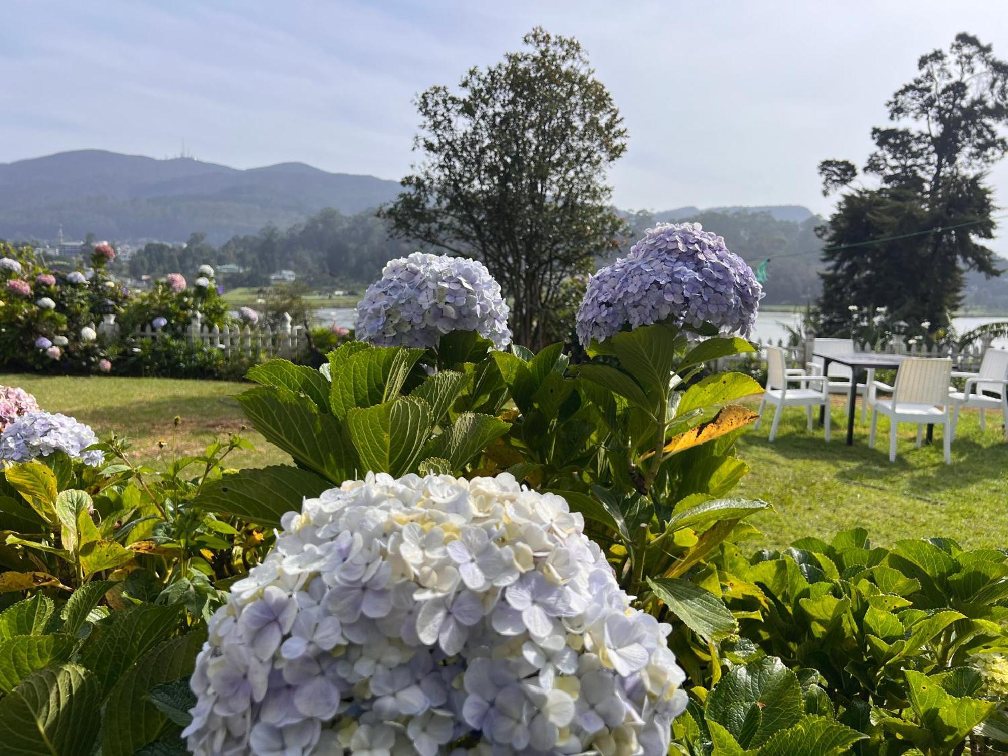 Lakeside Garden 湖畔花园山居 Nuwara Eliya