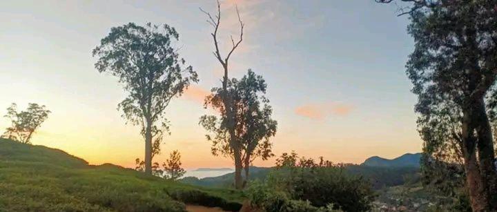 The Paulwood Homestay Nuwara Eliya