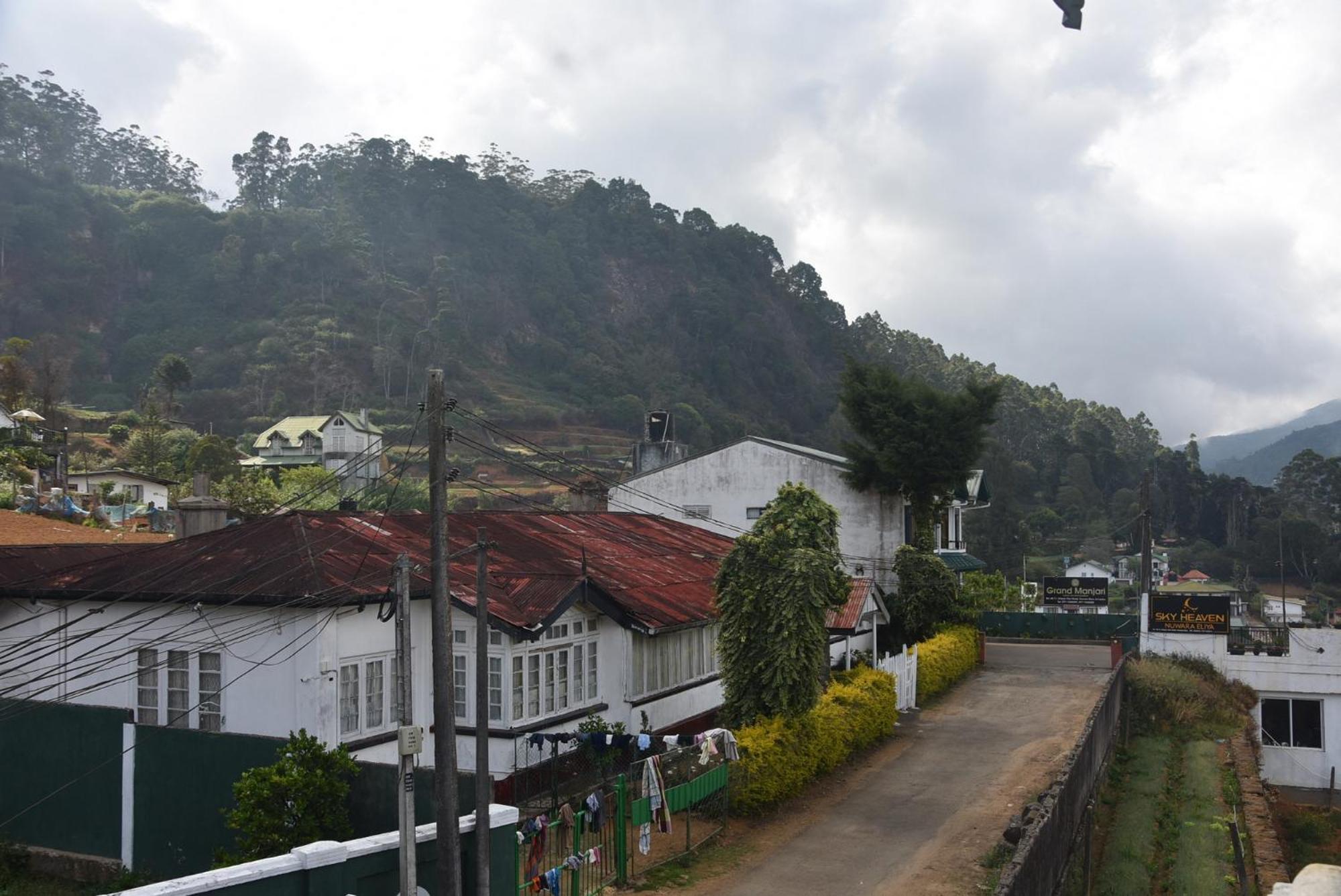 Birds Peak Nuwaraeliya Nuwara Eliya
