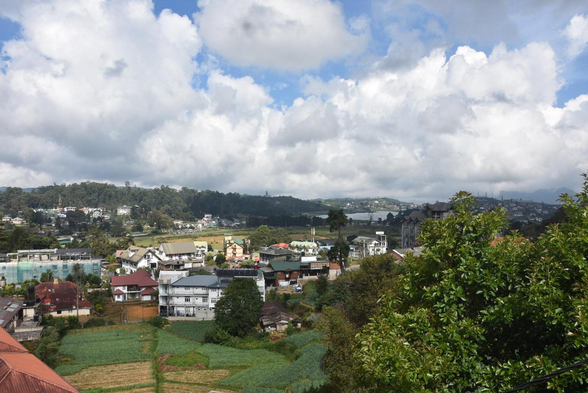 Birds Peak Nuwaraeliya *