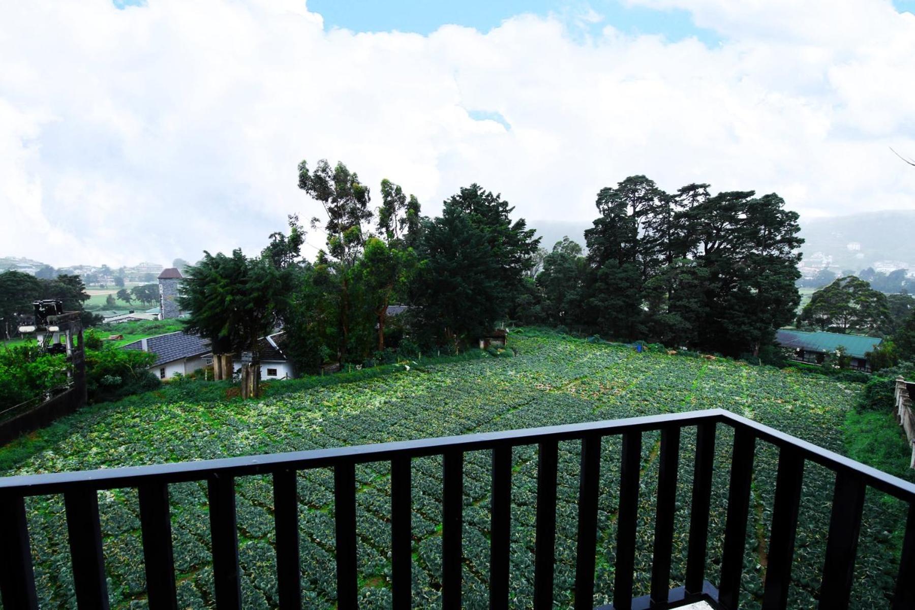 Apartment Nelma's Cosy Nuwara Eliya