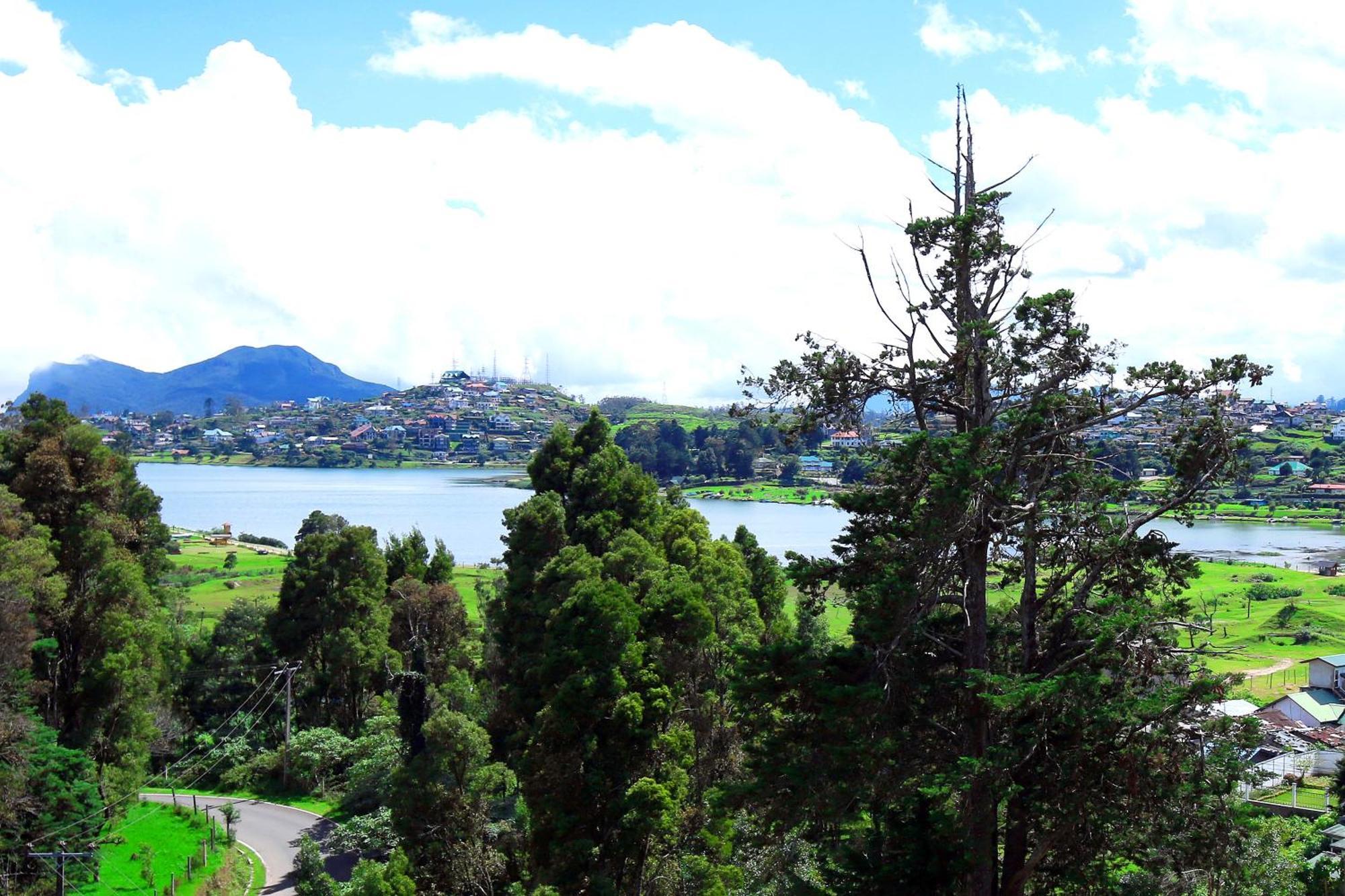 Apartment Nelma's Cosy *