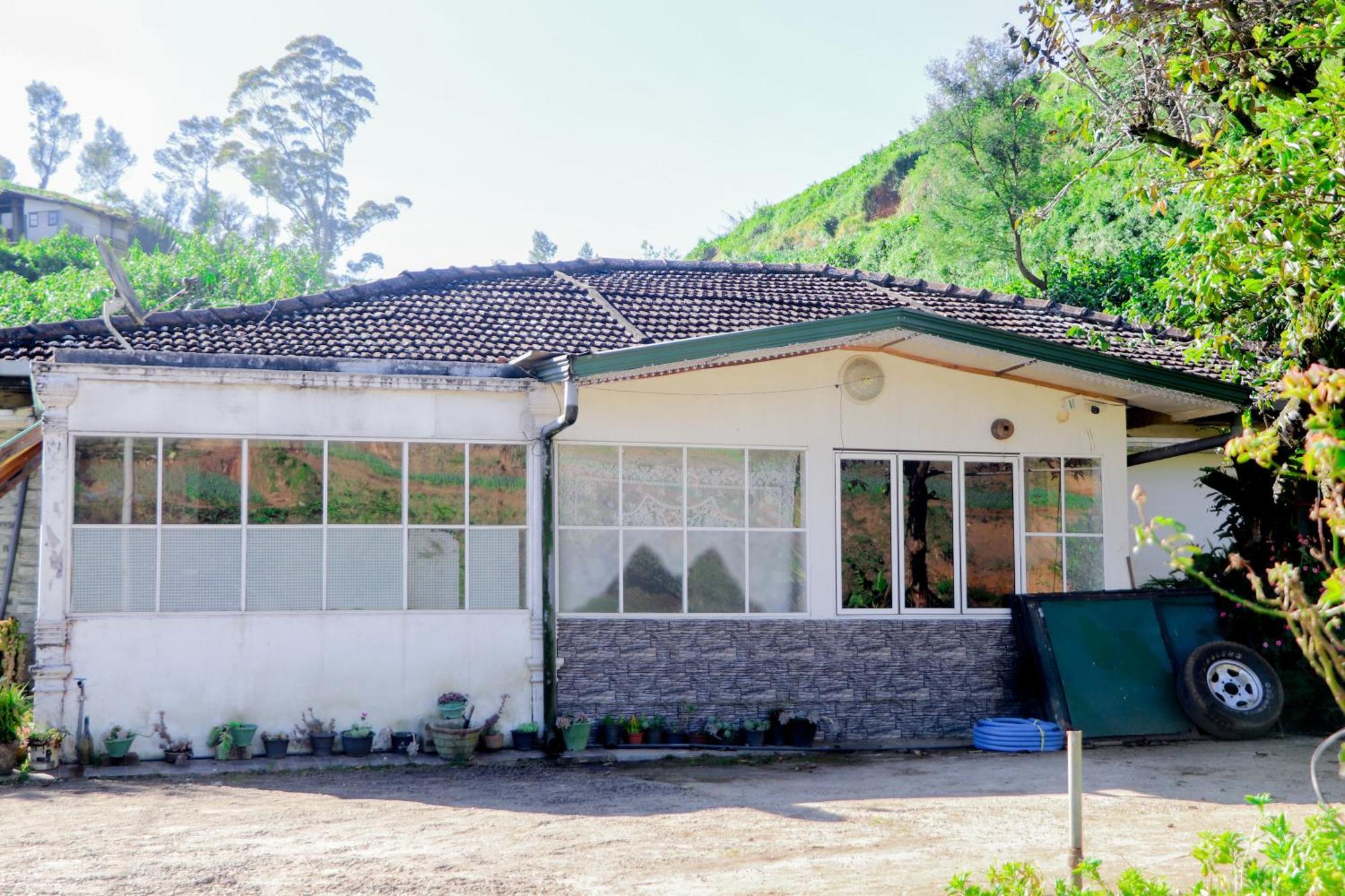 Homestay St Elmo *