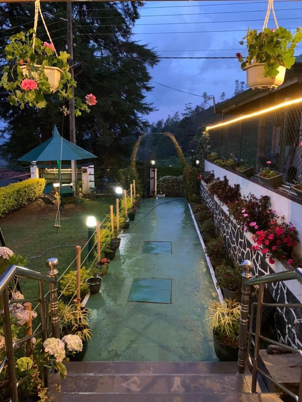Homestay New Royal Mount