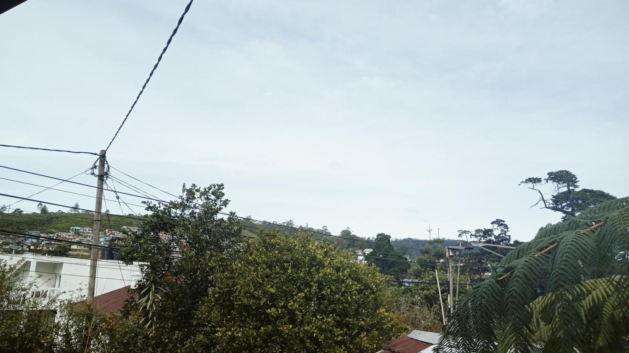 Homestay 20/20 Wood *