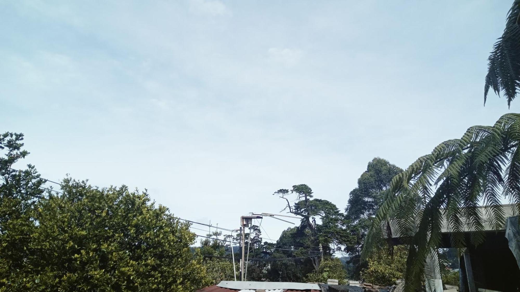 20/20 Wood Homestay *