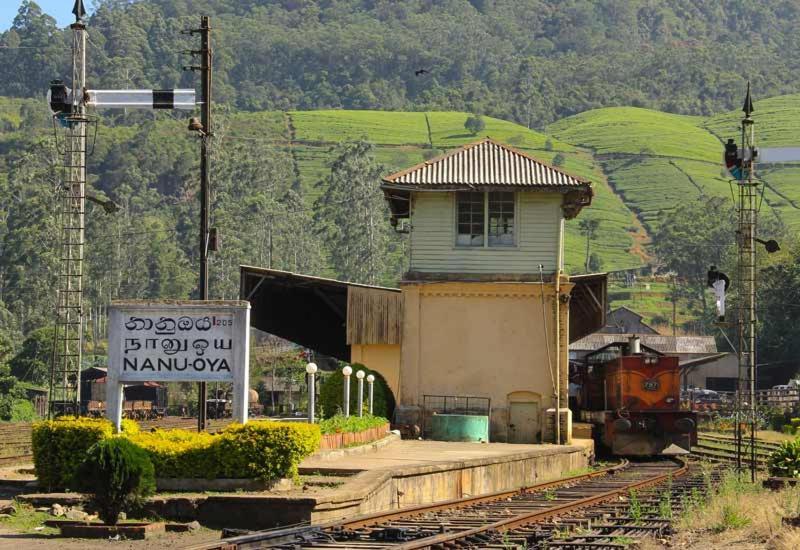 Mount View Two Bed * Nuwara Eliya