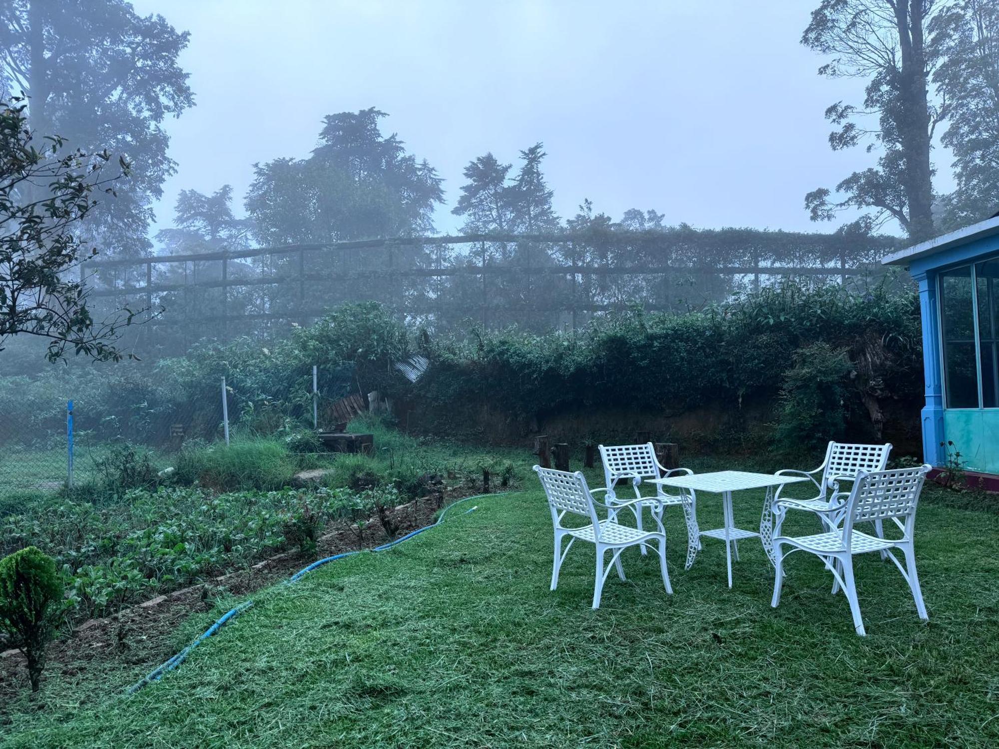Trinity Guest-inn * Nuwara Eliya