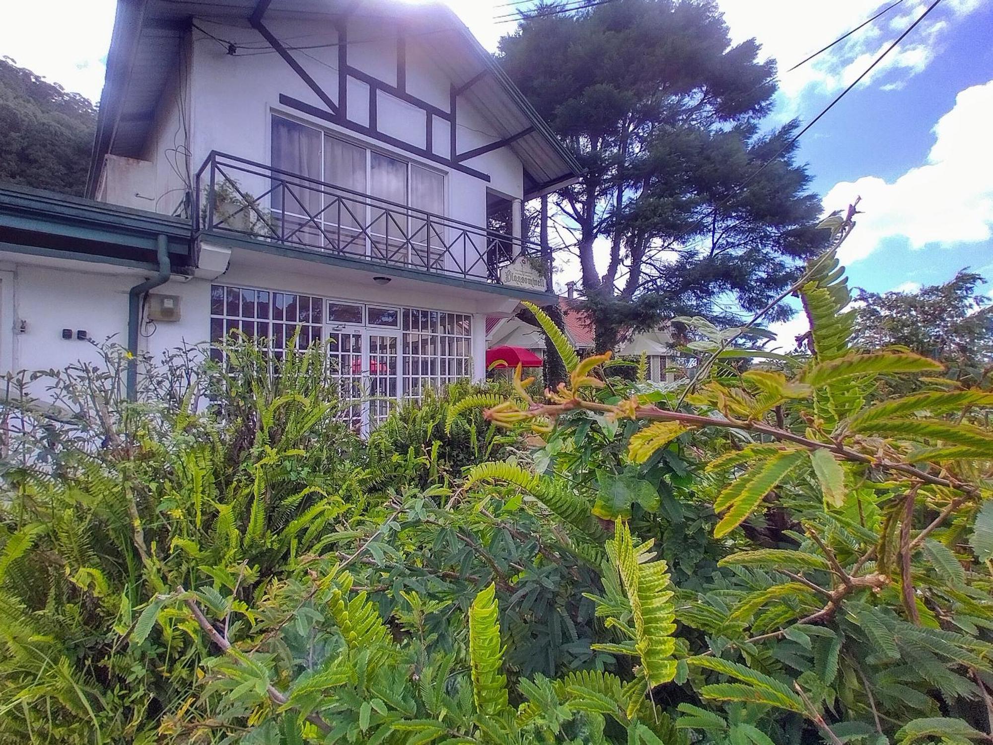 Blossomwell Guest house Nuwara Eliya