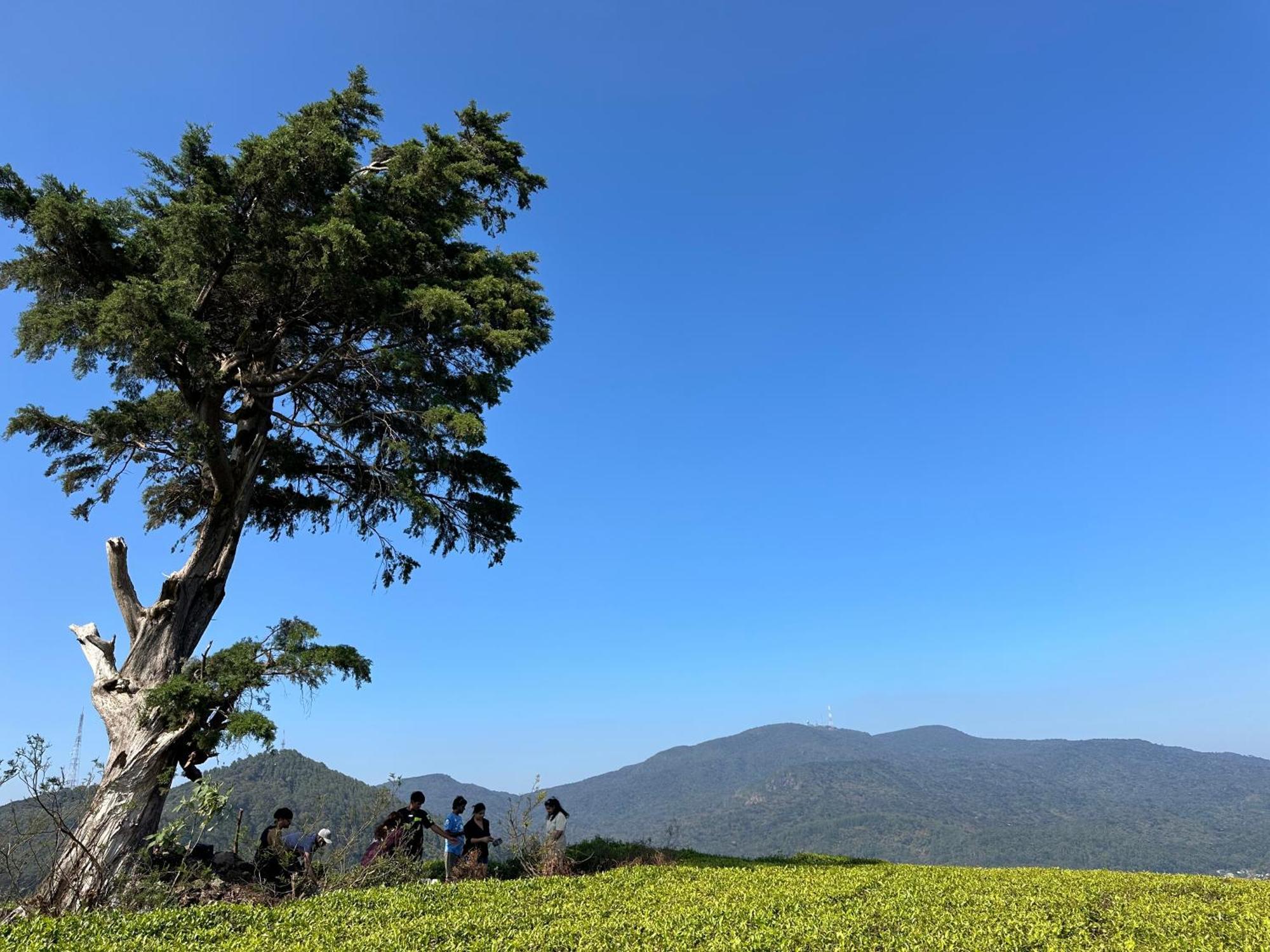 7000 Feet Nuwaraeliya Nuwara Eliya