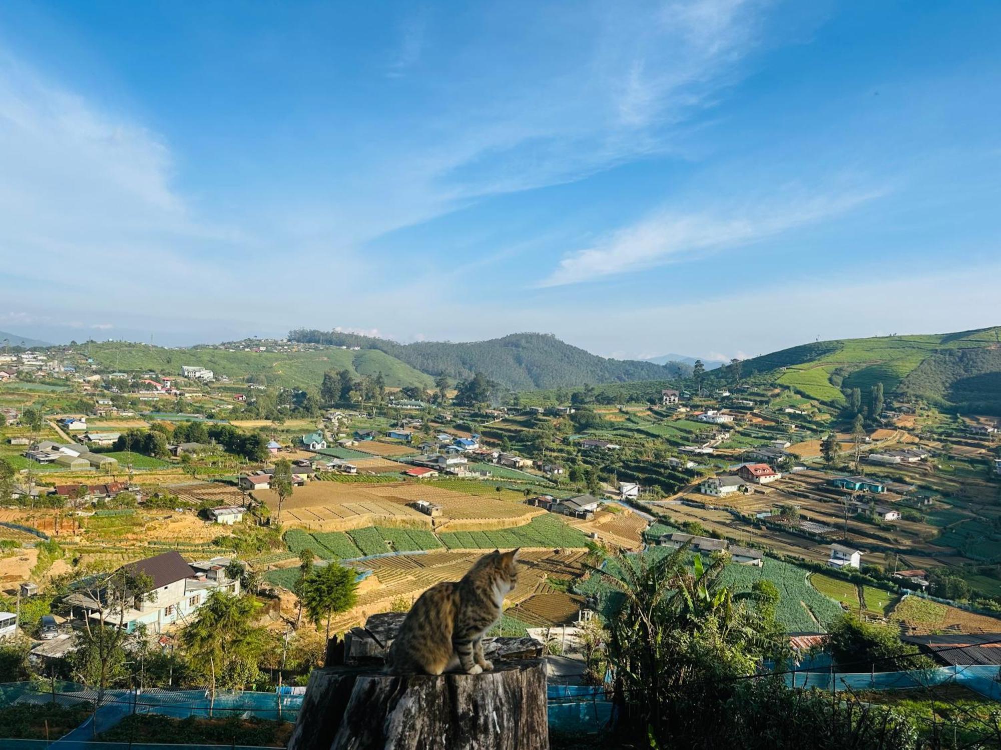 7000 Feet Nuwaraeliya Chalet *
