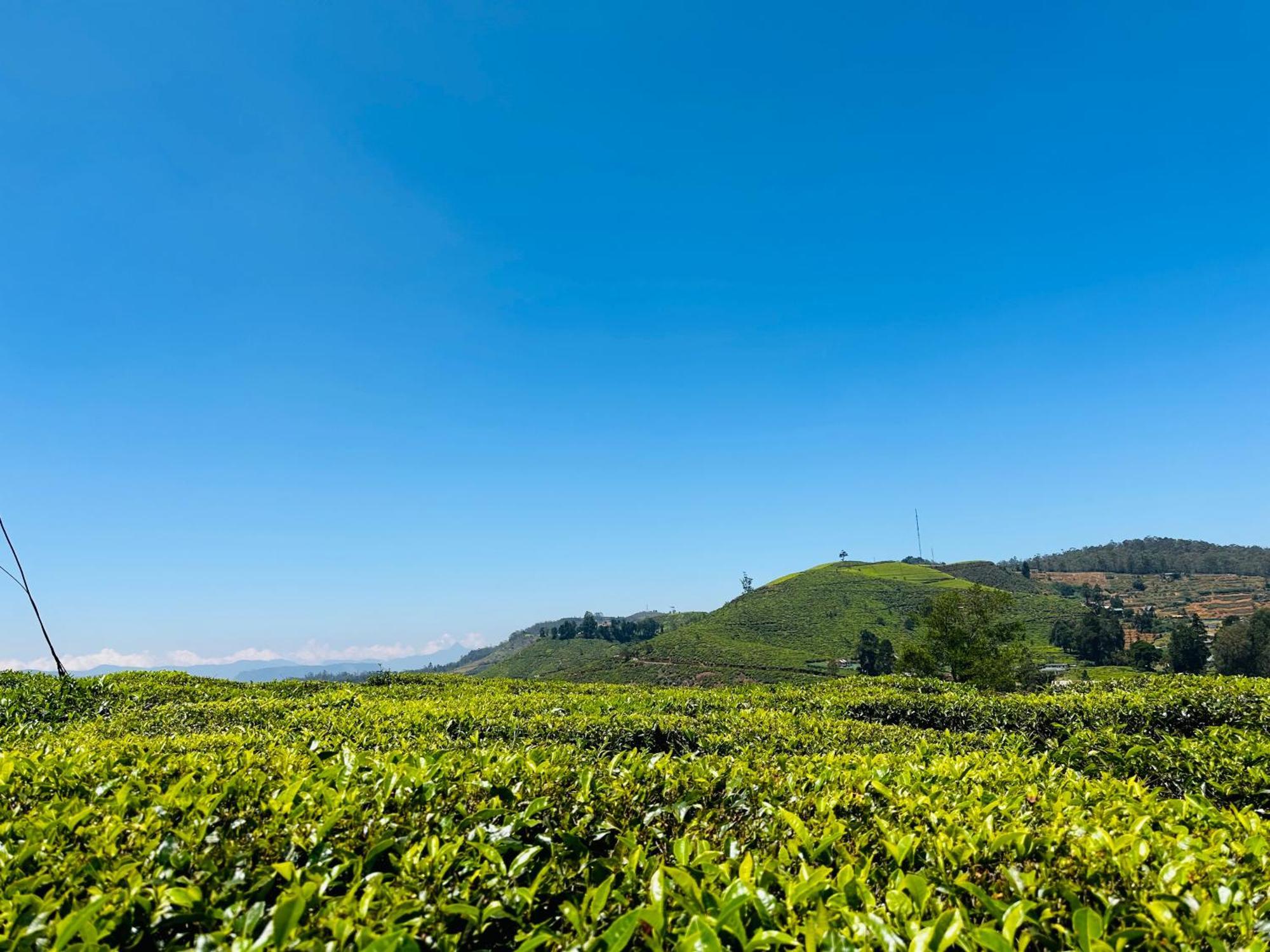 7000 Feet Nuwaraeliya Chalet *