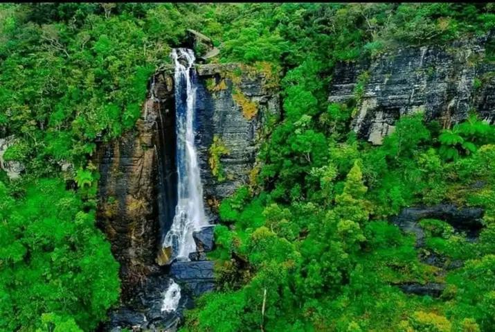 The Paulwood And Nuwara Eliya