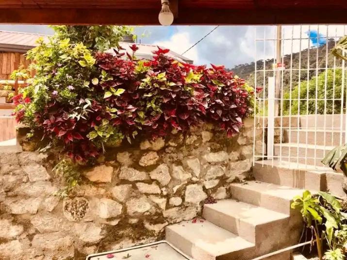 Country house The Paulwood And