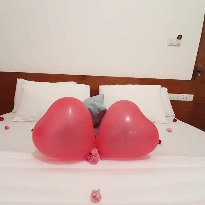 Hotel Pensive - 3*