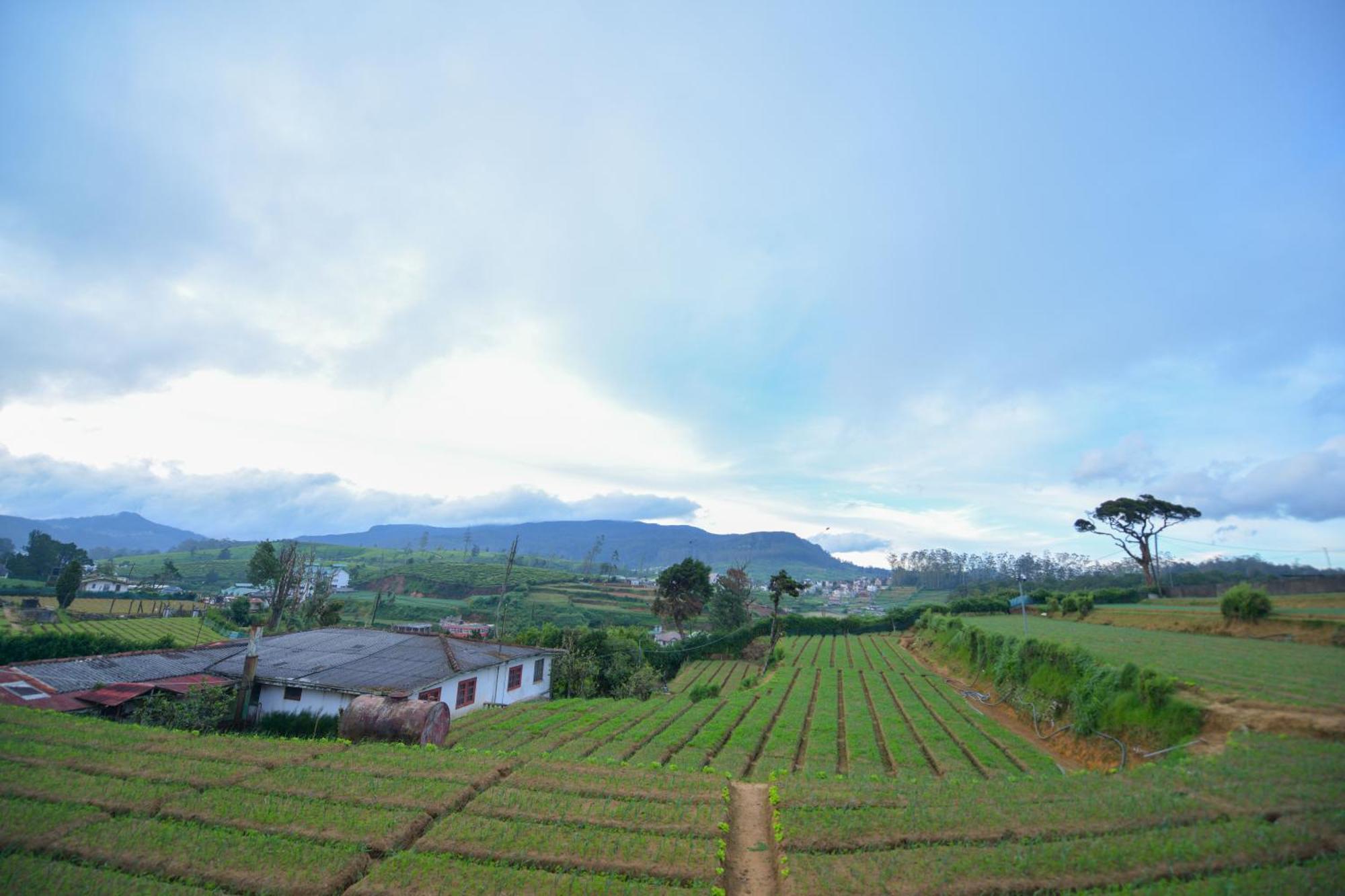 Hotel La Sky Nuwara Eliya