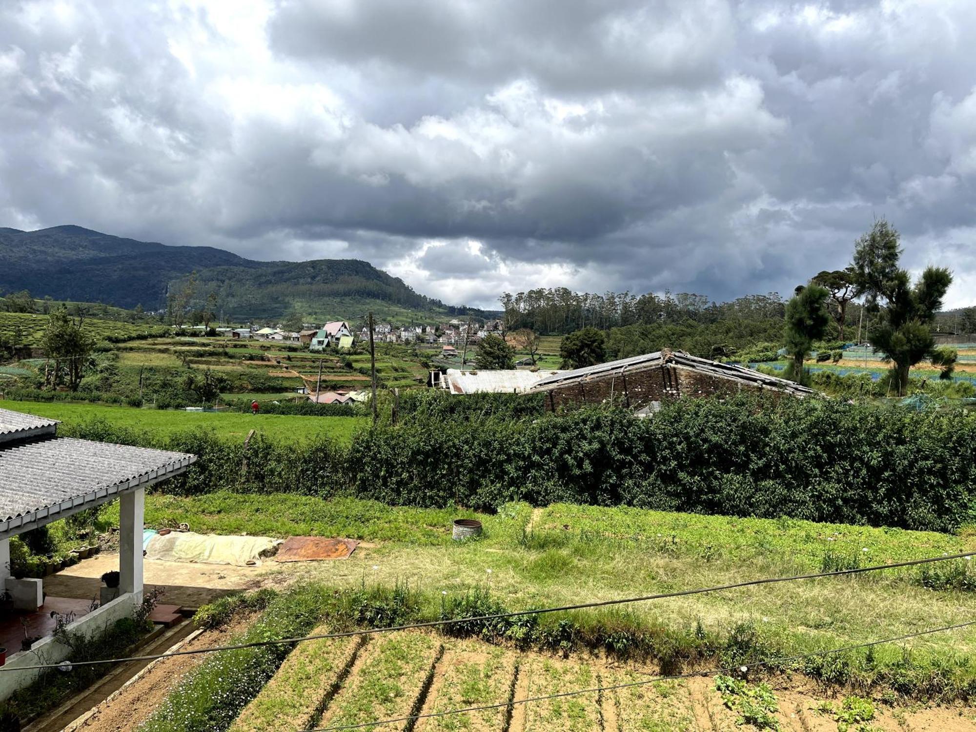 Agp Nuwara Eliya