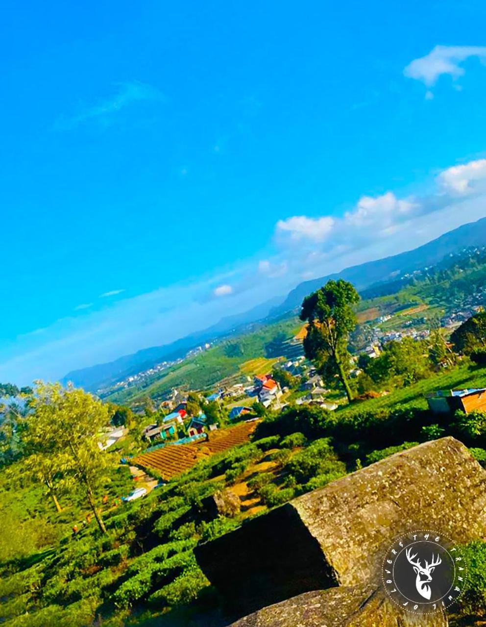 The Tranquil Wooden Nuwara Eliya