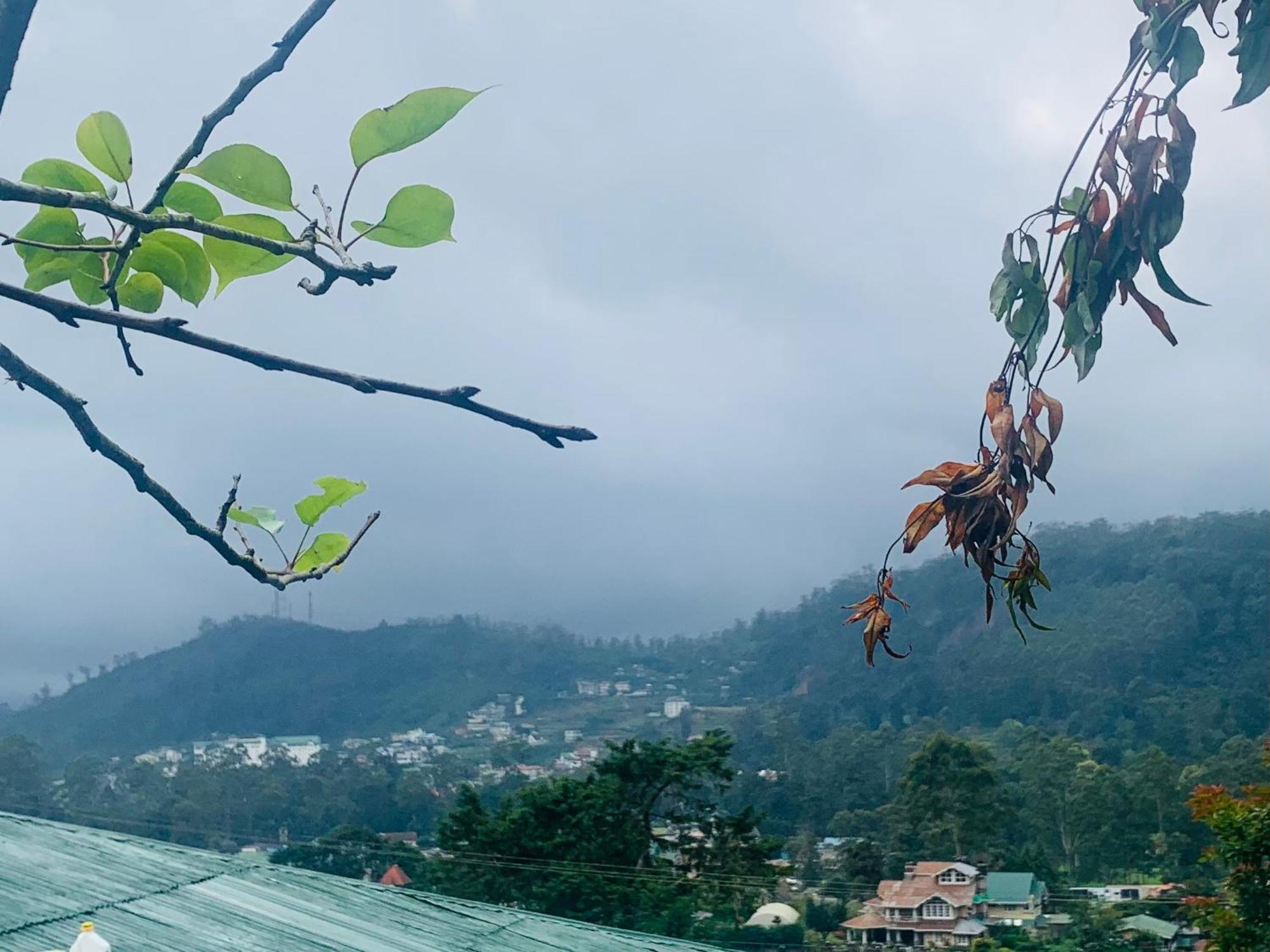 Pedro Stay,cooking Classes & Tours Homestay Nuwara Eliya