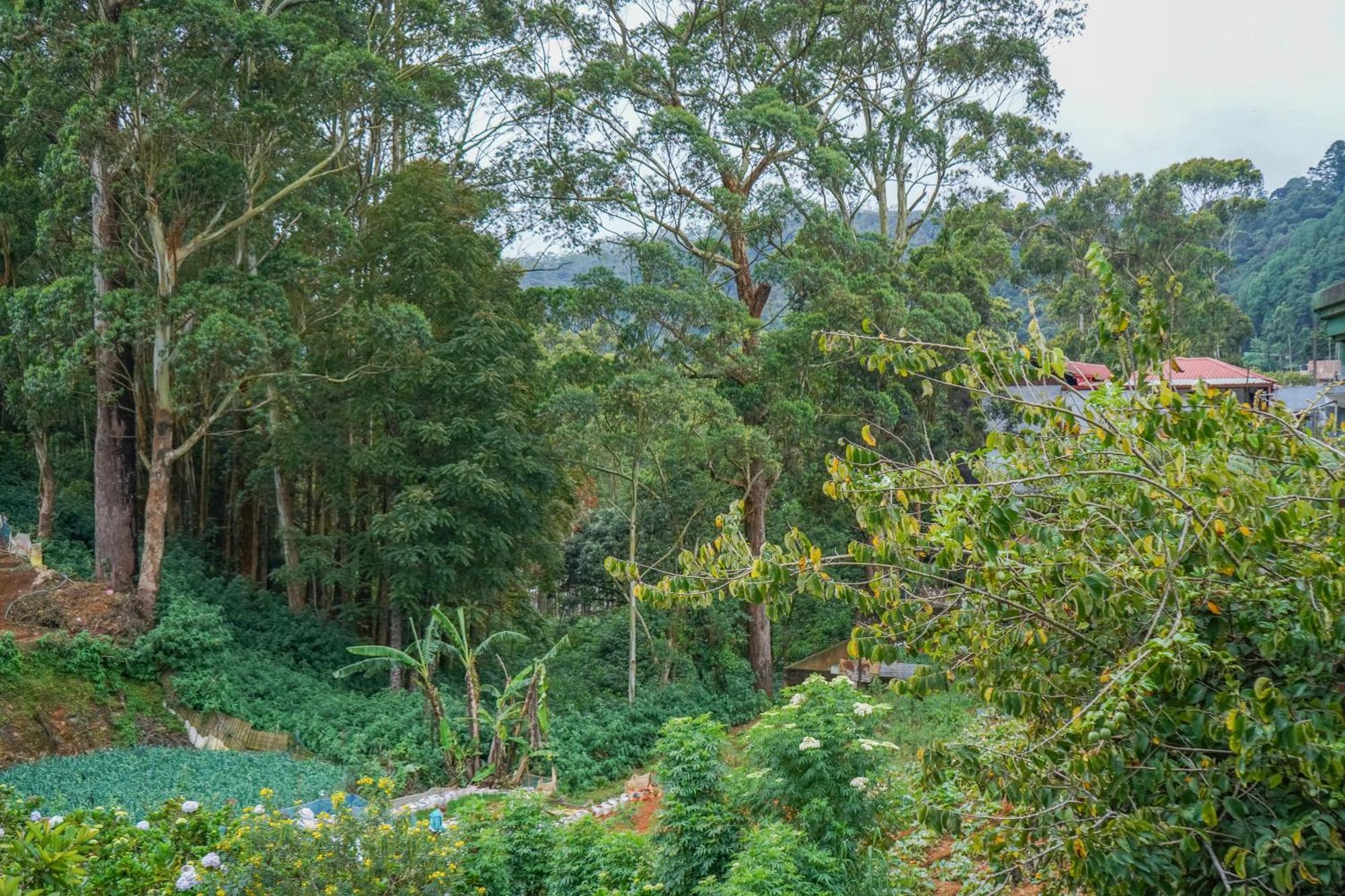 Winter Wood Private Nuwara Eliya