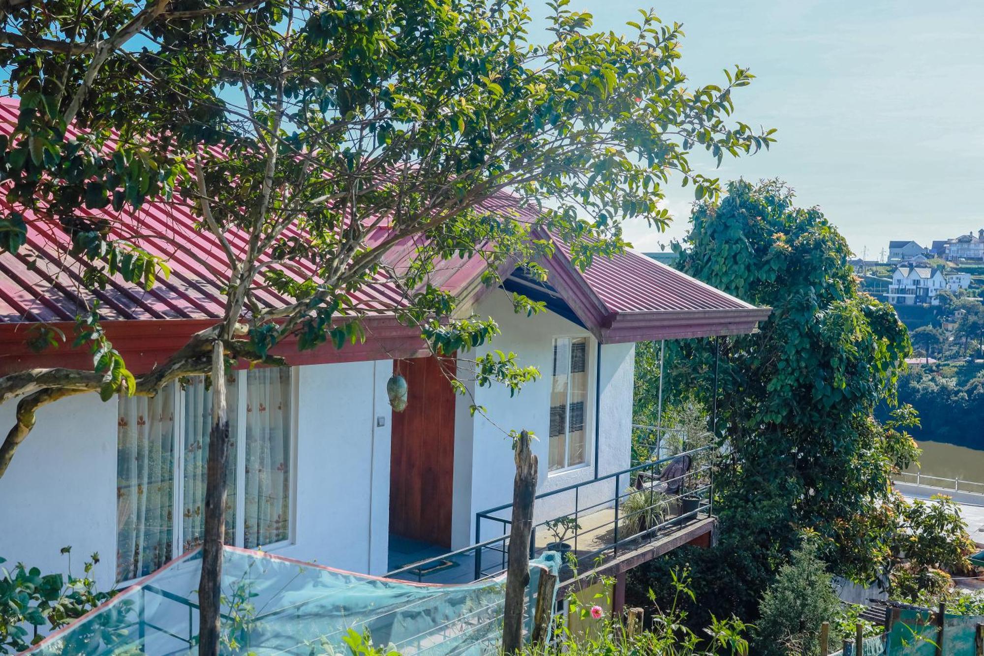 Peace Nest Homestay *