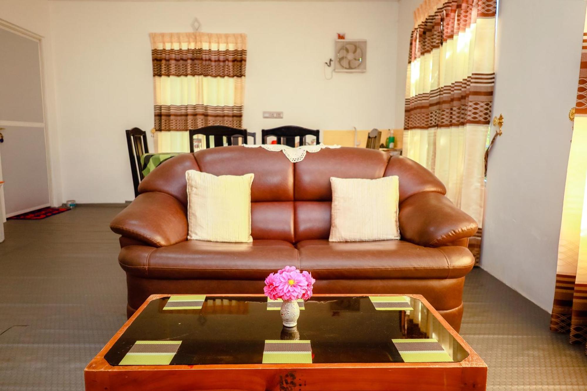 Peace Nest