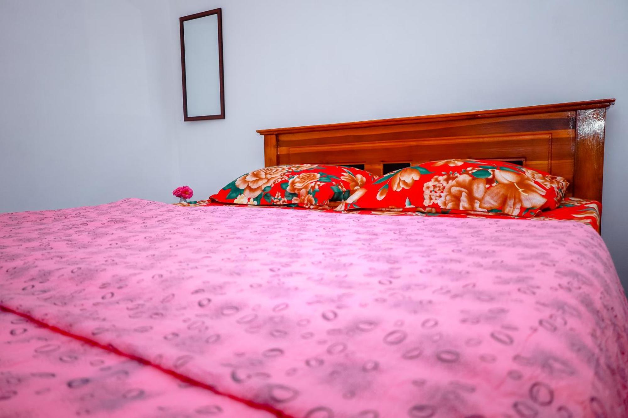 Peace Nest *