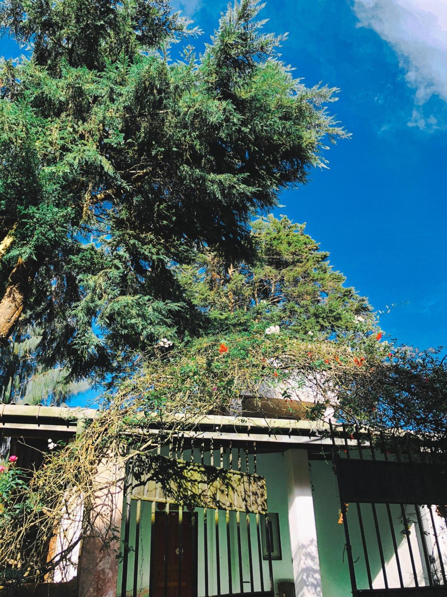 Villa Muthu's Chill House