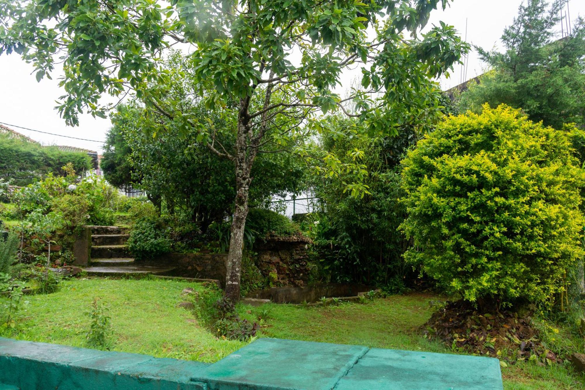 Tranquil Garden - Near Nuwaraeliya Town *