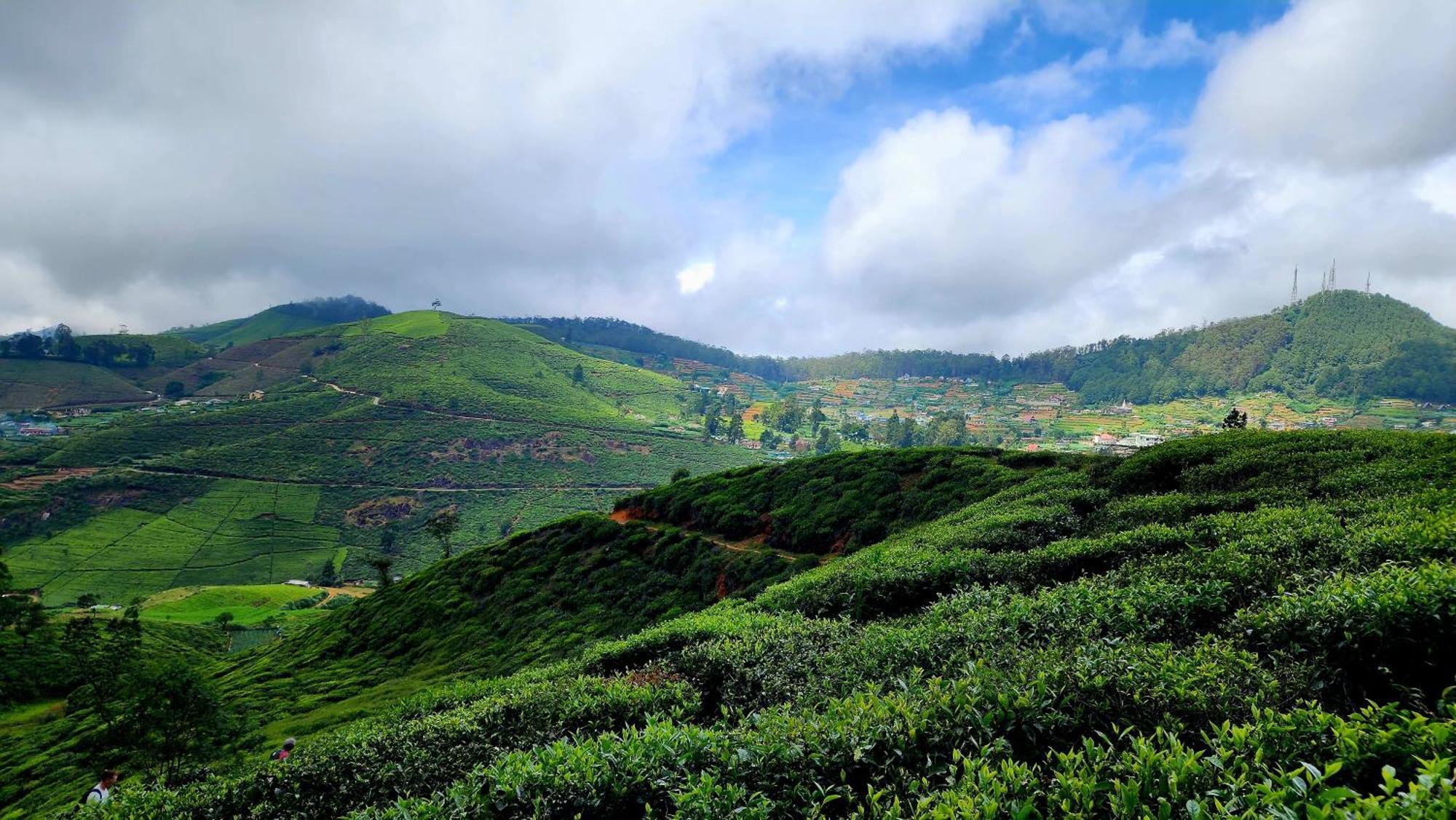 Hotel Mountain Misty-nuwaraeliya *