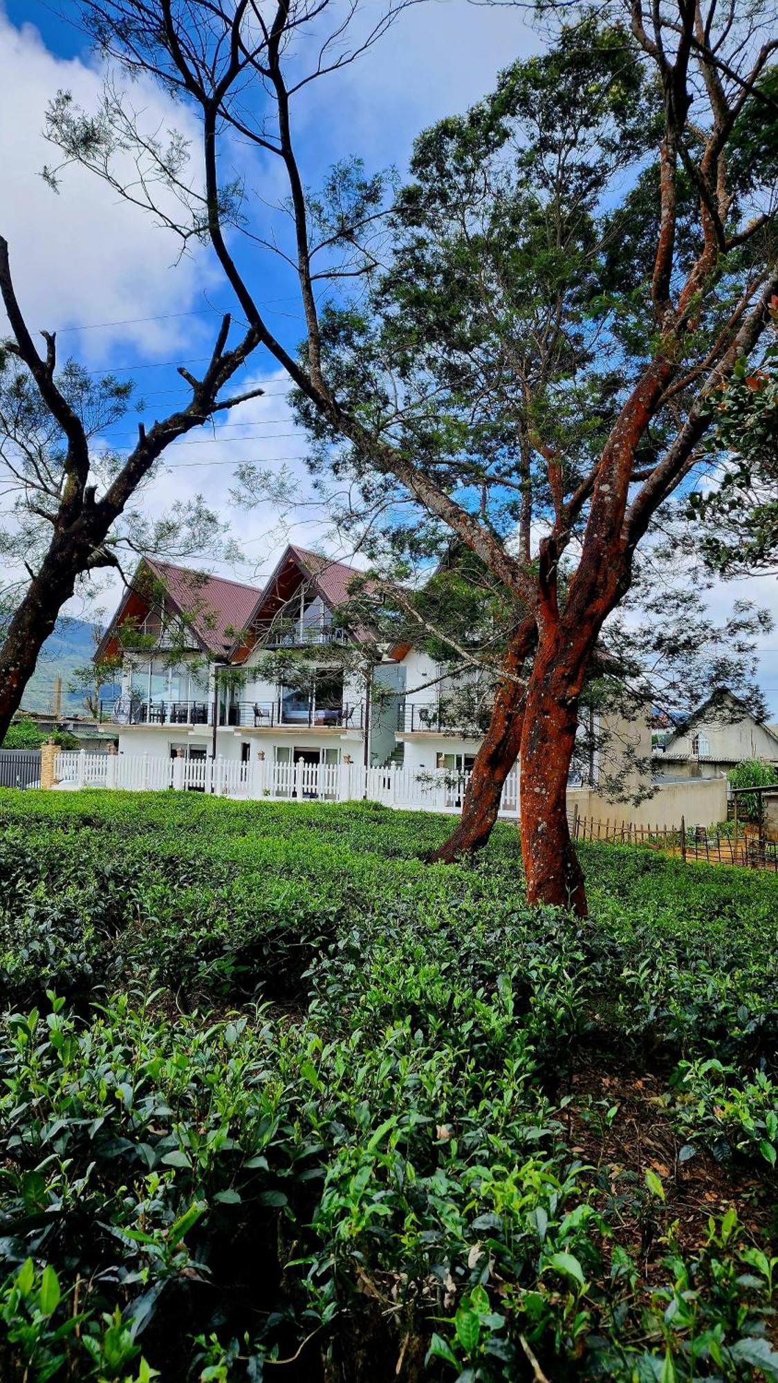 Mountain Misty-nuwaraeliya Hotel Nuwara Eliya