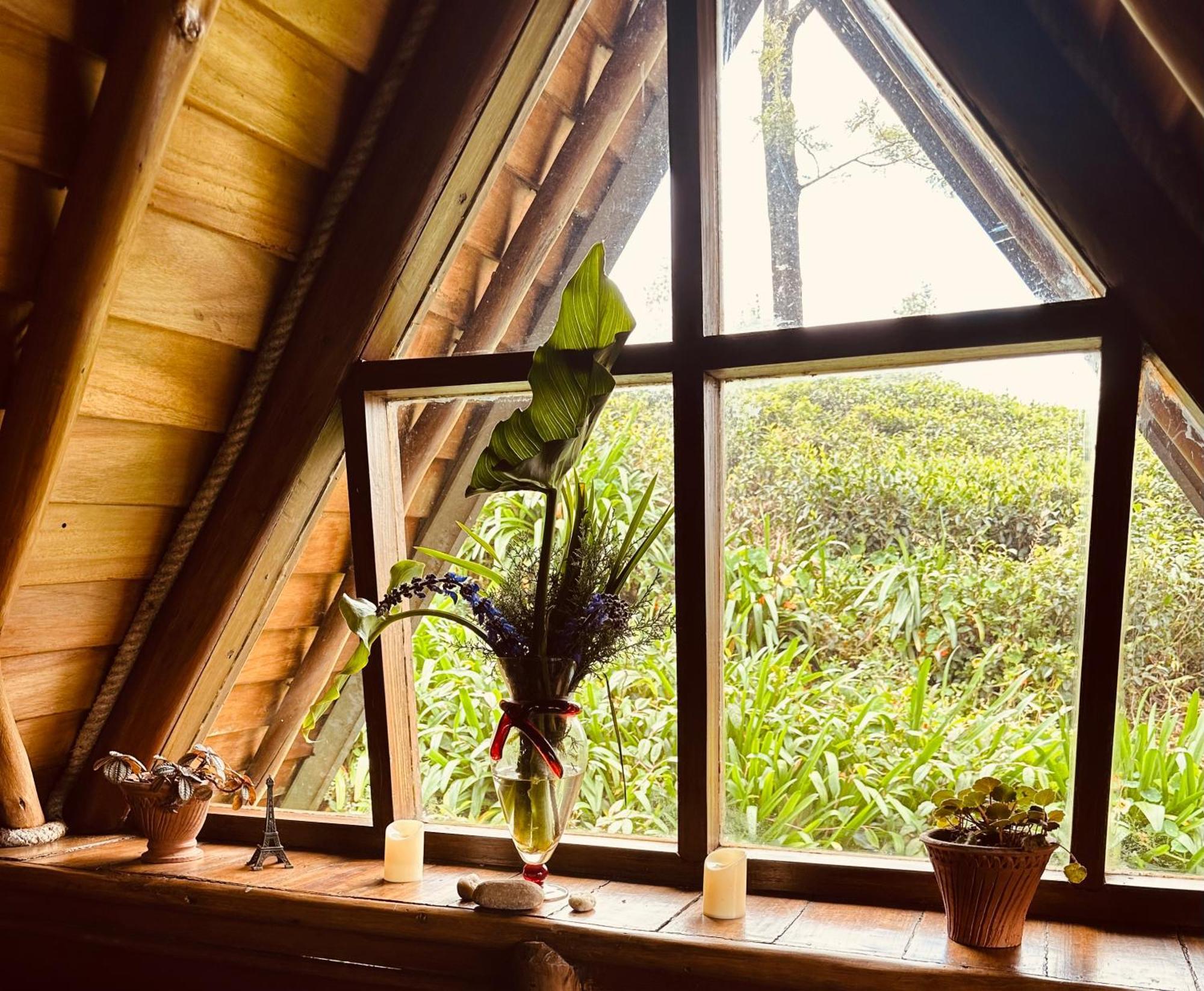 Villa 47 Nuwaraeliya