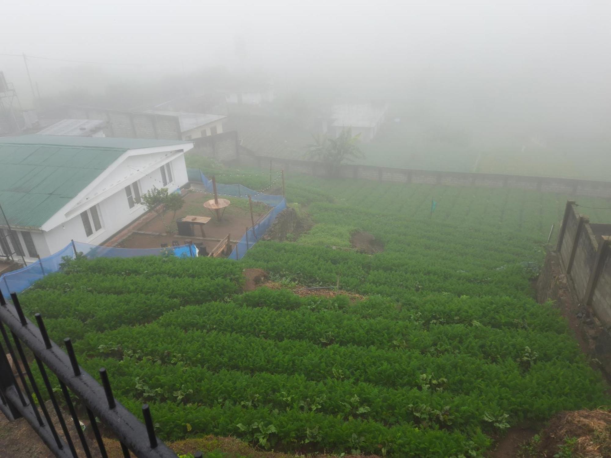 Apartment - Farm *