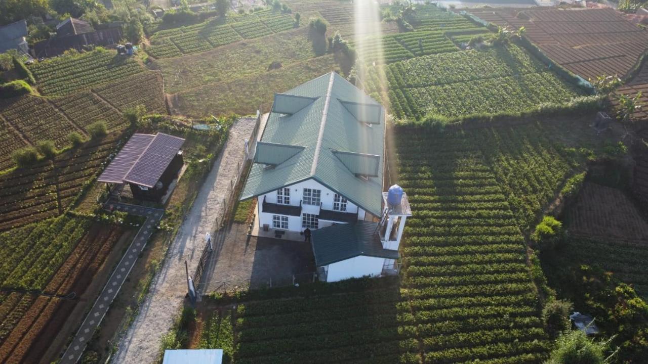 Ivy * Nuwara Eliya