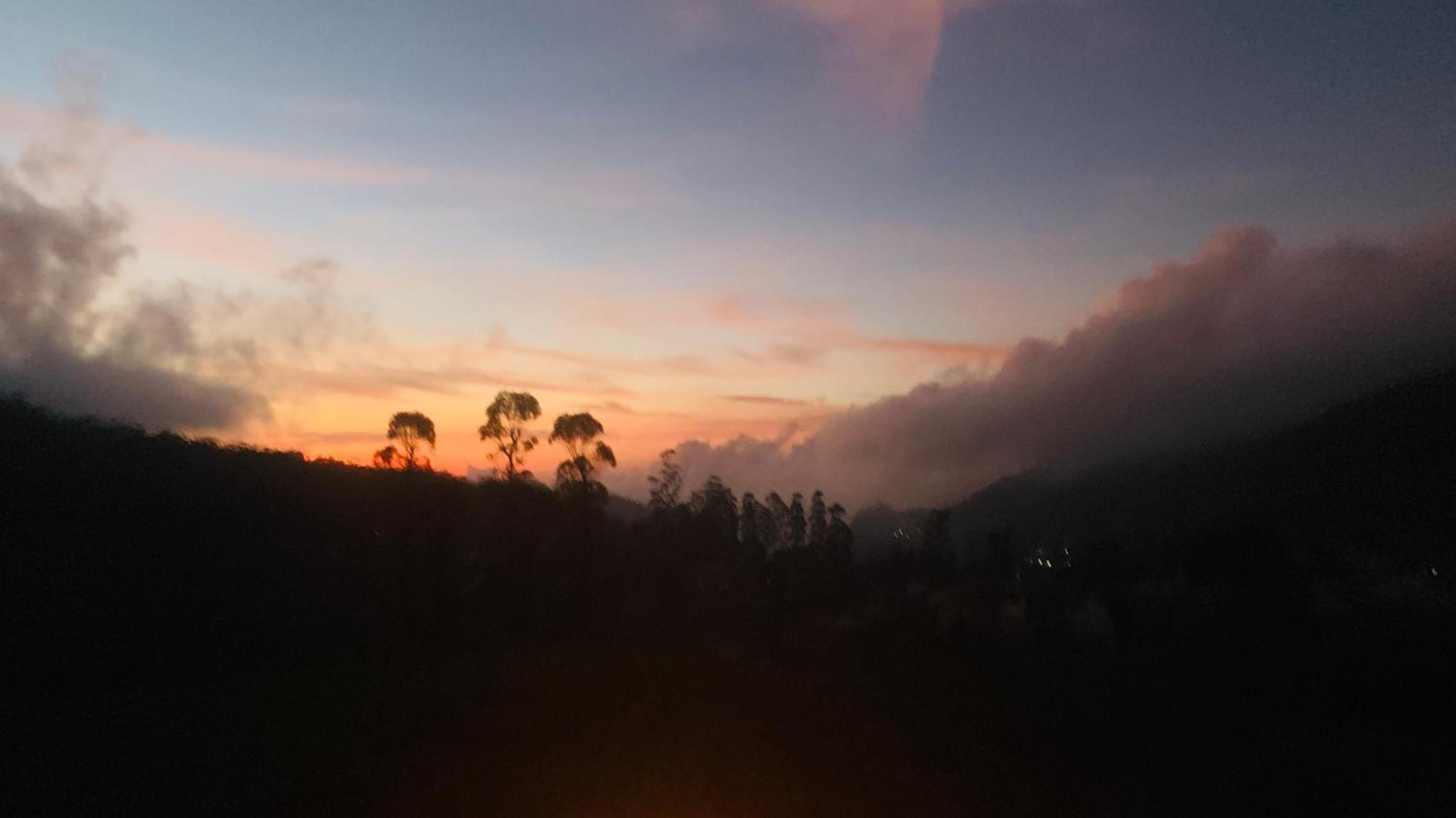 Venus * Nuwara Eliya