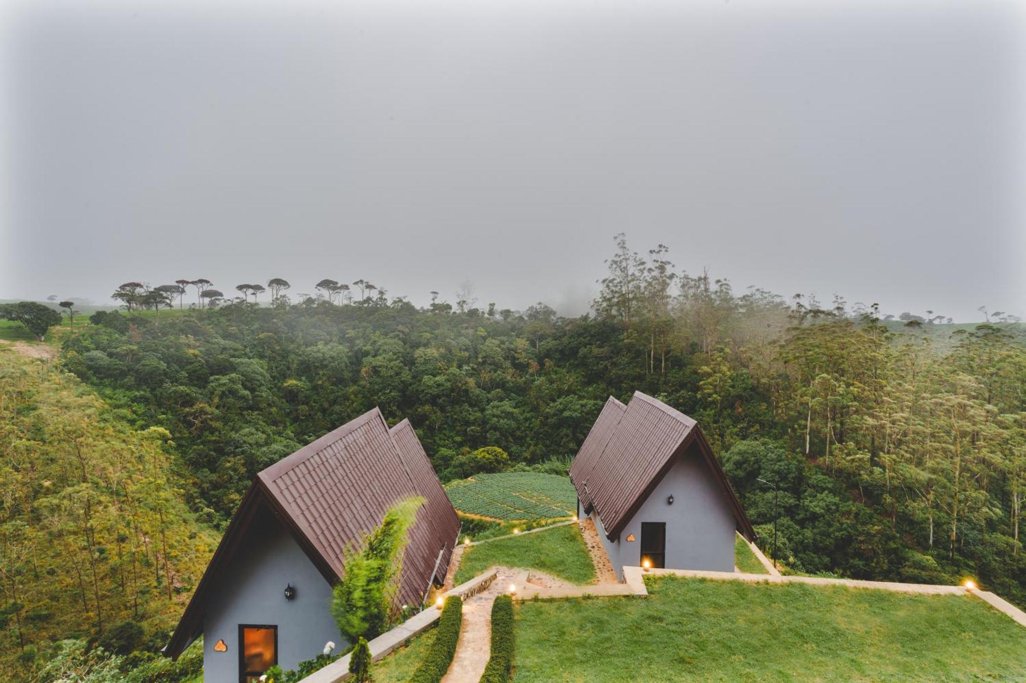 Bellevue By Pushella Hotel *
