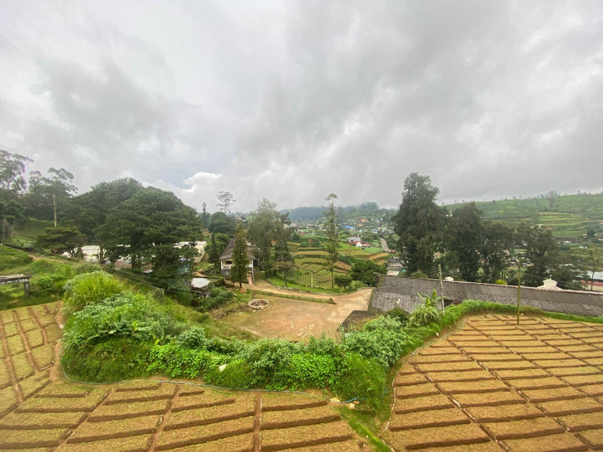 S And D Nuwara Eliya