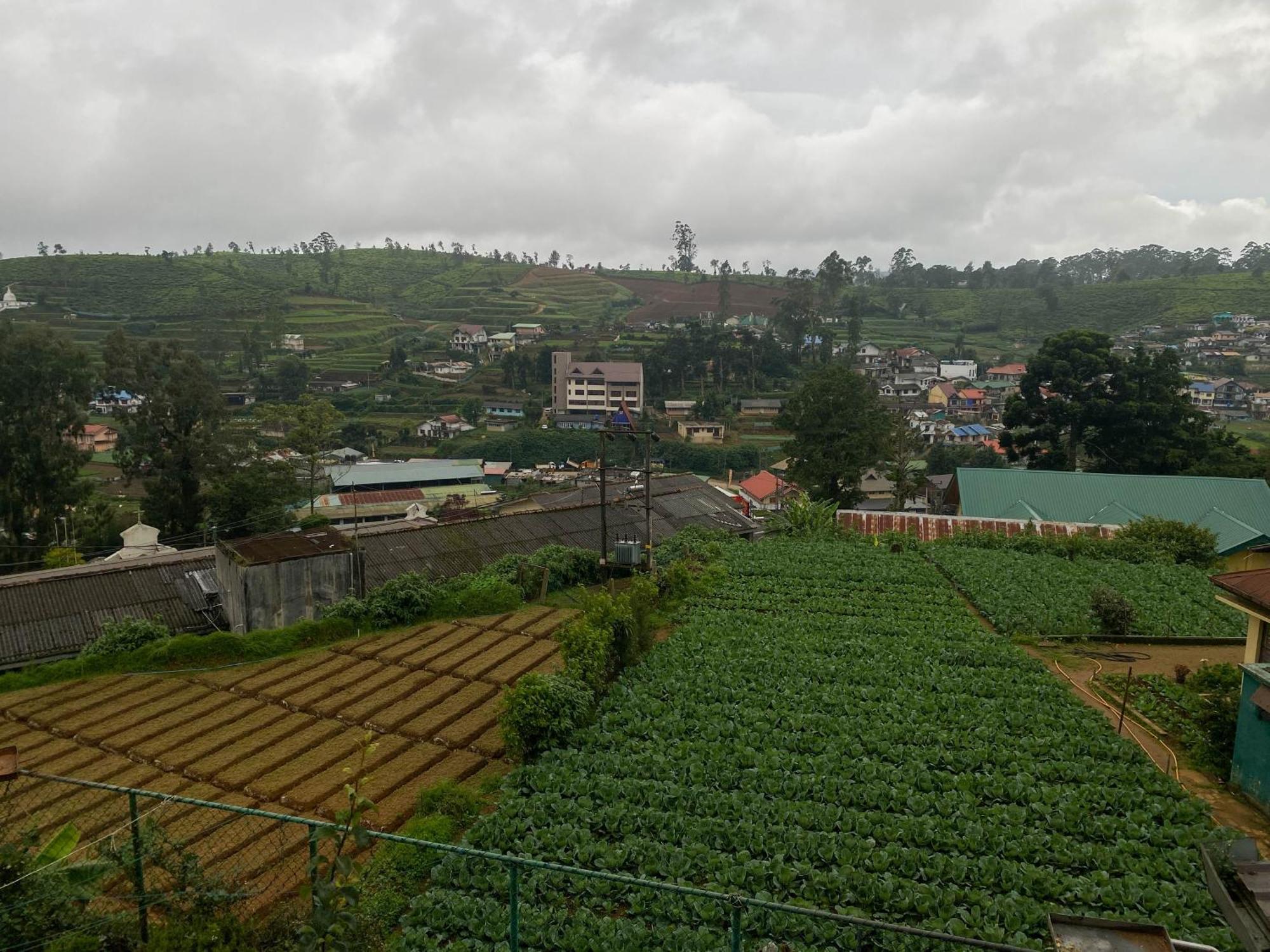 Homestay S And D *