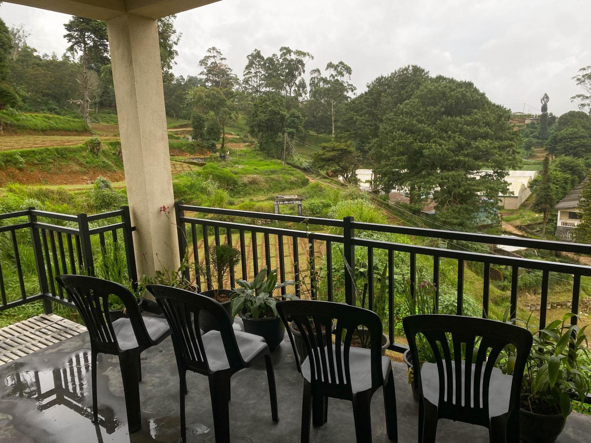 Homestay S And D