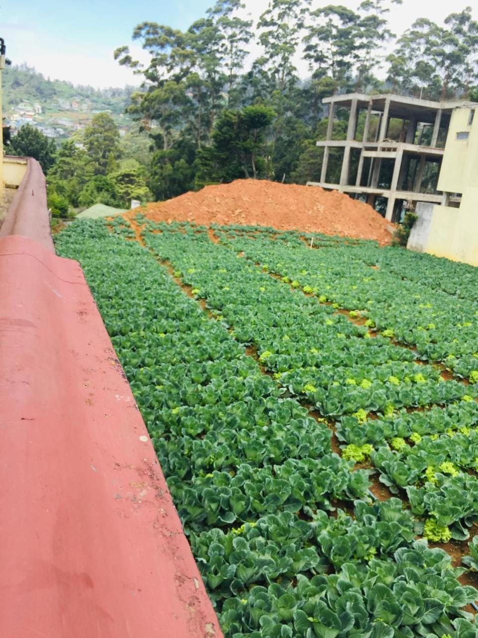 Grand Nauro In Nuwaraeliya Nuwara Eliya